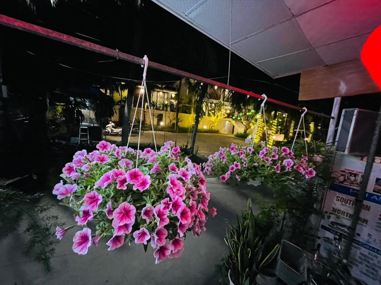 Cuong Thinh Homestay Hoi An Zewnętrze zdjęcie
